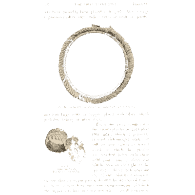 Twisted gold wire ring - Mycenae: A Narrative of Researches and Discoveries - 1880