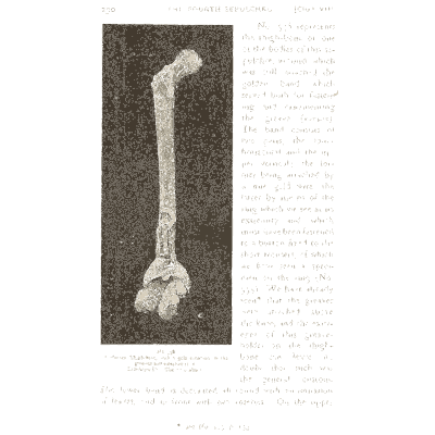Long bone - Mycenae: A Narrative of Researches and Discoveries - 1880