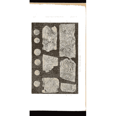 Gold sheets and discs - Mycenae: A Narrative of Researches and Discoveries - 1880