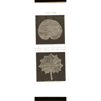 Gold leaf plates - Mycenae: A Narrative of Researches and Discoveries - 1880