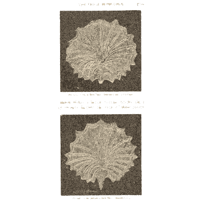 Fluted gold rosette plates - Mycenae: A Narrative of Researches and Discoveries - 1880