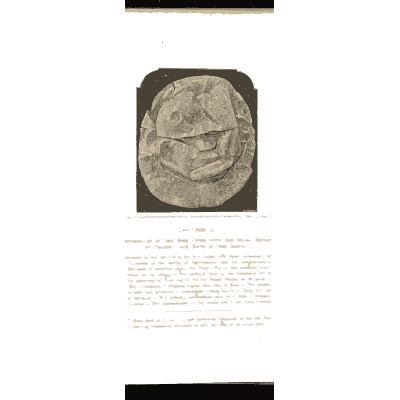 Engraved oval seal stone - Mycenae: A Narrative of Researches and Discoveries - 1880