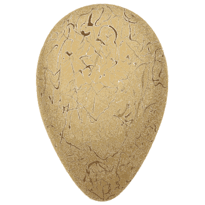 Large scrawled egg - Coloured Figures of the Eggs of British Birds - 1896