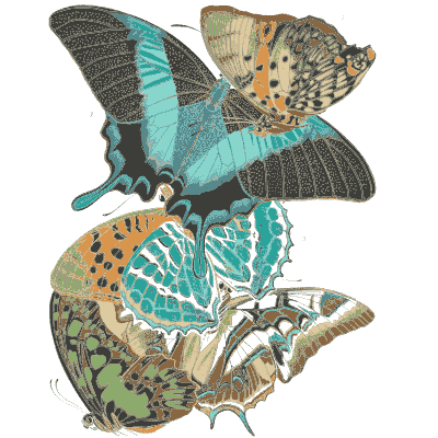 Butterfly composition plate in teal 01 - Papillons - 1925