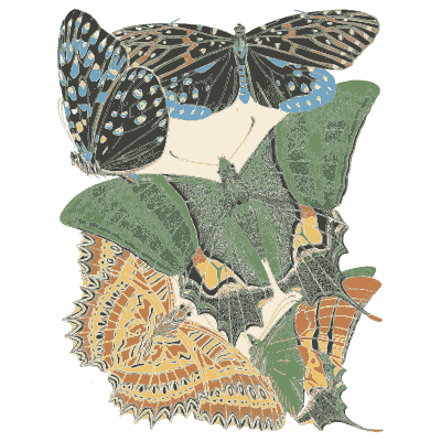 Butterfly composition plate in green and orange - Papillons - 1925