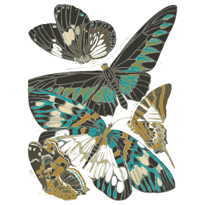 Butterfly composition plate 03 - Papillons - 1925