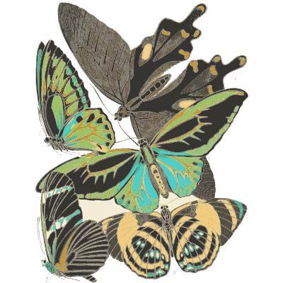 Butterfly composition plate in blue 01 - Papillons - 1925