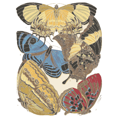 Butterfly composition plate in gold 01 - Papillons - 1925