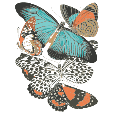 Butterfly composition plate in teal 02 - Papillons - 1925