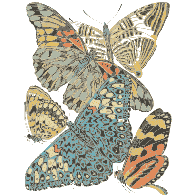 Butterfly composition plate in cream 02 - Papillons - 1925