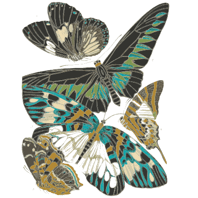 Butterfly composition plate in black - Papillons - 1925