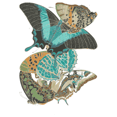 Butterfly composition plate in teal 03 - Papillons - 1925