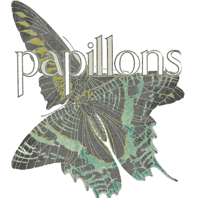 Butterfly title plate - Papillons - 1925