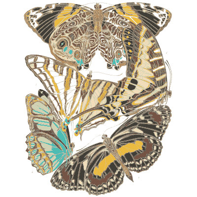 Butterfly composition plate in cream 03 - Papillons - 1925
