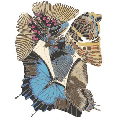 Butterfly composition plate in blue 02 - Papillons - 1925