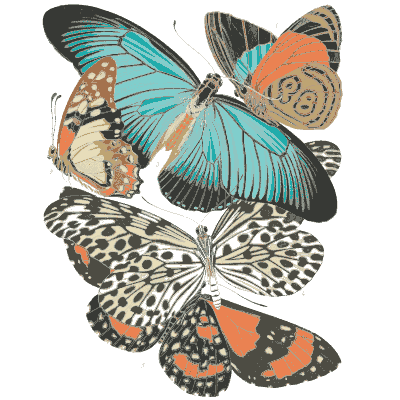 Butterfly composition plate in teal 04 - Papillons - 1925