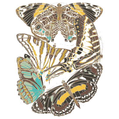 Butterfly composition plate in gold 02 - Papillons - 1925