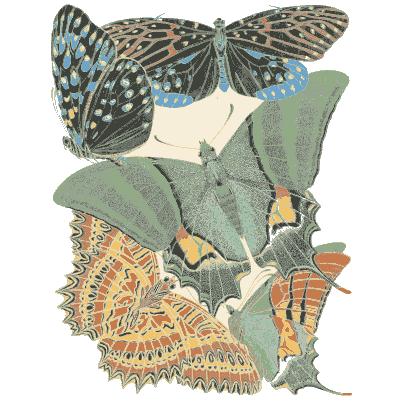 Butterfly composition plate in orange - Papillons - 1925