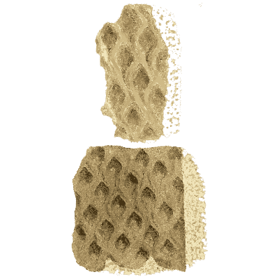 Stone with diamond lattice fossil pattern - British Mineralogy, Volume 1 - 1804