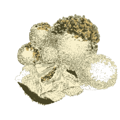 Knobbly grey mass with crystals - British Mineralogy, Volume 1 - 1804