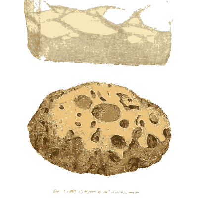 Net patterned stone and porous nodule - British Mineralogy, Volume 1 - 1804