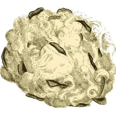 Lobed white mineral mass - British Mineralogy, Volume 1 - 1804
