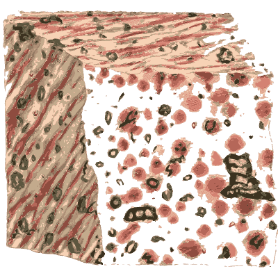 Cut cube of pink porphyry - British Mineralogy, Volume 1 - 1804