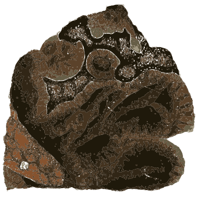 Banded brown ironstone - British Mineralogy, Volume 1 - 1804