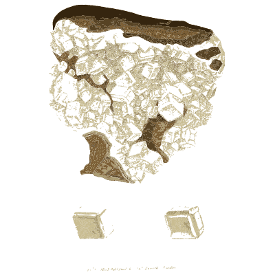 Porous pale rock with cube outlines - British Mineralogy, Volume 1 - 1804