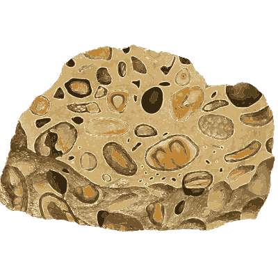 Rock crowded with oval fossil shells - British Mineralogy, Volume 1 - 1804