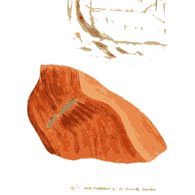 Orange red mineral slab - British Mineralogy, Volume 1 - 1804