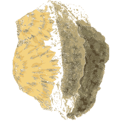 Yellow radiating fibrous mineral - British Mineralogy, Volume 1 - 1804