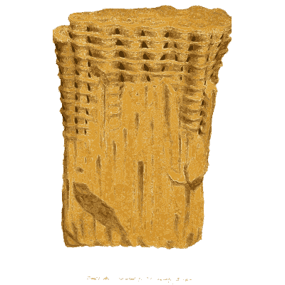 Golden lattice surfaced block - British Mineralogy, Volume 2 - 1806