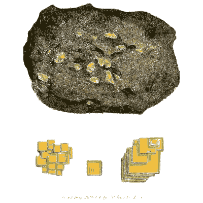 Yellow cubes in dark rock - British Mineralogy, Volume 2 - 1806