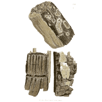 Fibrous cylinder and columnar blocks - British Mineralogy, Volume 2 - 1806