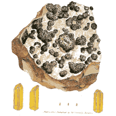 Dark nodules on brown rock - British Mineralogy, Volume 2 - 1806