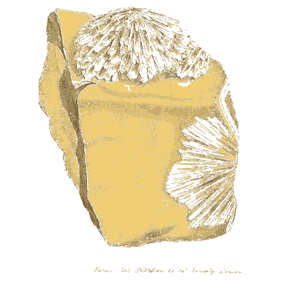 White crystal sprays on yellow block - British Mineralogy, Volume 2 - 1806