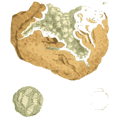 Golden rock crusted with green - British Mineralogy, Volume 2 - 1806