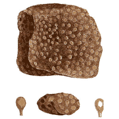 Pimpled dark brown block - British Mineralogy, Volume 2 - 1806