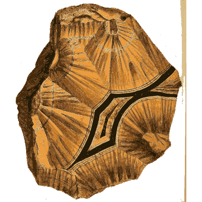 Radiating orange fibrous slab - British Mineralogy, Volume 2 - 1806