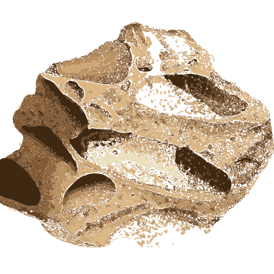Honeycombed pale brown block - British Mineralogy, Volume 2 - 1806