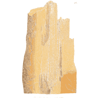 Upright fibrous stone block - British Mineralogy, Volume 2 - 1806