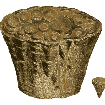Ribbed fossil with round plates - British Mineralogy, Volume 2 - 1806