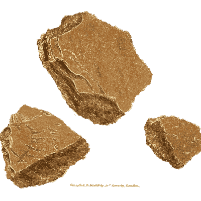 Broken brown stone pieces - British Mineralogy, Volume 2 - 1806
