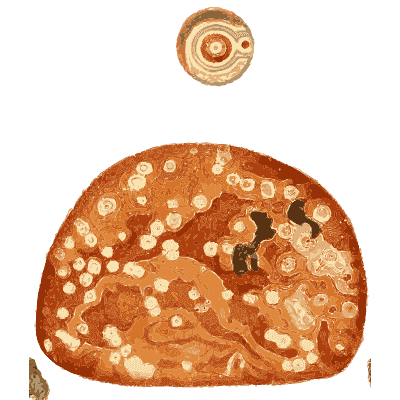 Speckled orange stone - British Mineralogy, Volume 2 - 1806