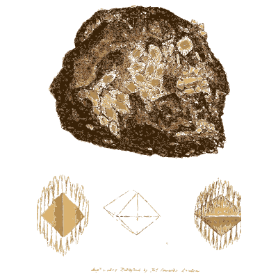 Pale crystals in dark rock - British Mineralogy, Volume 2 - 1806