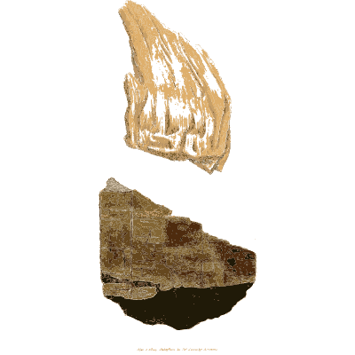 Fibrous wedge and dark block - British Mineralogy, Volume 2 - 1806