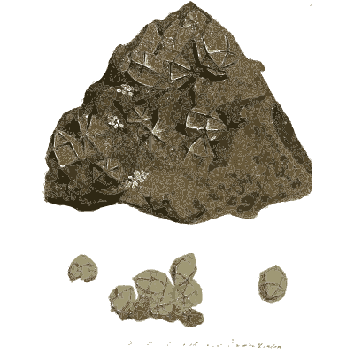 Twinned crystals on dark rock - British Mineralogy, Volume 2 - 1806