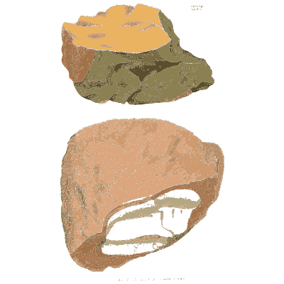 Banded rock and pink lump with cavity - British Mineralogy, Volume 3 - 1809