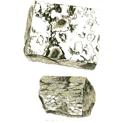 Red and green mottled slab - British Mineralogy, Volume 3 - 1809
